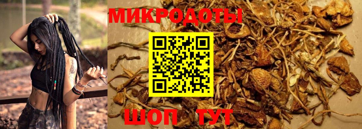  COCAIN Краснознаменск