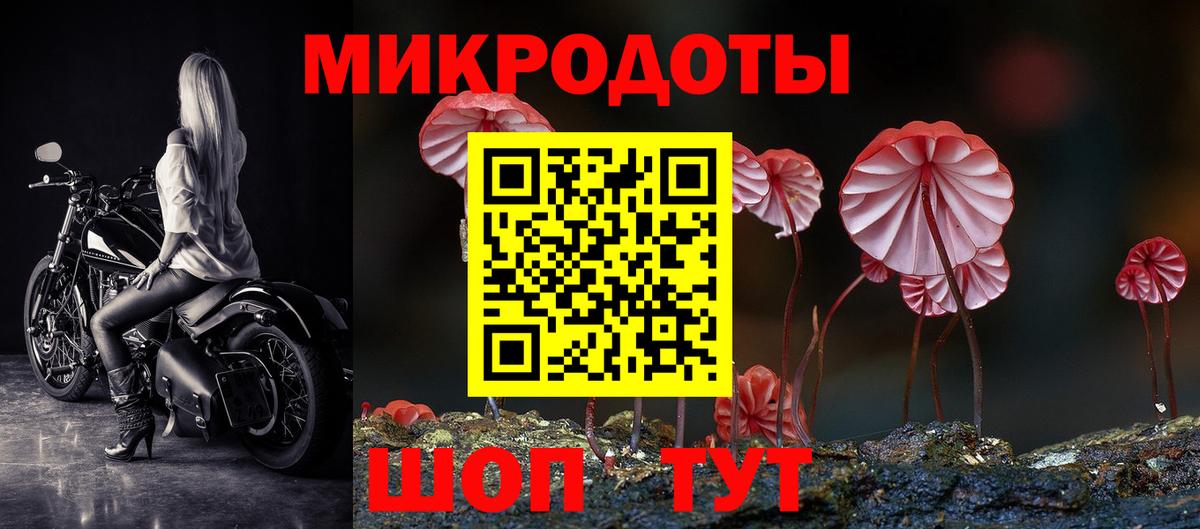 Краснознаменск  Псилоцибиновые грибы MAGIC MUSHROOMS  Вход с VPN 