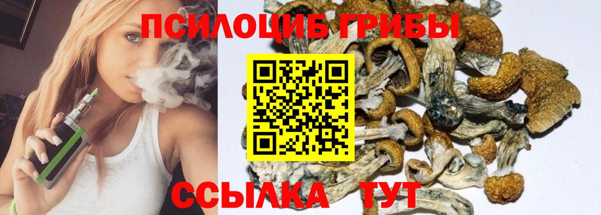 Псилоцибиновые грибы MAGIC MUSHROOMS Краснознаменск